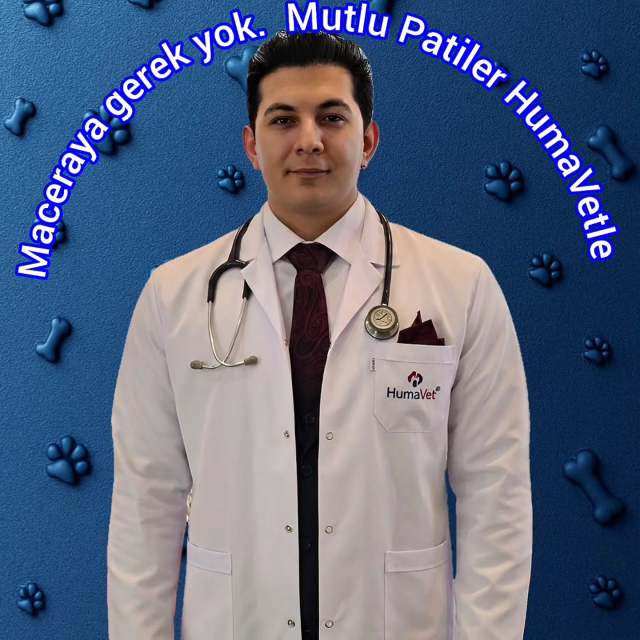 Dünyanın neresinde oluyorsanız olun petizin otoimmun, alerjik veya Alopecia X gibi tedavilere dirençli kronik cilt hastalıklarını online muayeneyle kolaylıkla tedavi edebilirsiniz.Sloganımız neydı? Maceraya gerek yokMutlu patiler HumaVet‘leBilgi, sorumluluk ve tecrübenin adresi HumaVet’leAlopesiya x #alopecia x #pomeranianlerde alopecia x #alopeciaxtedavisi #alopesiyax #alopesiyaxtedavisi dermaologveteriner Egal, wo auf der Welt Sie sich befinden – die chronischen Hauterkrankungen Ihres Haustieres, wie Alopecia X, die resistent gegen Behandlungen sind, können durch Online-Konsultationen einfach behandelt werden.✨ Unser Slogan?Kein Abenteuer nötig,Glückliche Pfoten mit HumaVet 🐾Die Adresse für Wissen, Verantwortung und Erfahrung: HumaVetalopeciax pomeranian alopeciaxtreatment alopeciainpets vetdermatologist veterinarydermatology expertvetdermatologist istanbulvetdermatologist dr_rıza_kahraman humavetNo matter where you are in the world, your pet’s chronic skin diseases such as Alopecia X, resistant to treatment, can be easily managed with online consultations.✨ Our slogan?No need for adventure,Happy paws with HumaVet 🐾The address of knowledge, responsibility, and experience: HumaVet