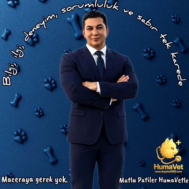 🐶Dünyanın neresinde oluyorsanız oolun otoimmun, alerjik veya Alopecia X gibi tedavilere dirençli kronik cilt hastalıklarını online muayeneyle kolaylıkla tedavi edebilirsiniz.🐶Sloganımız neydı? Bilgi, ilgi, deneyim ve sorumluluk tek bir karede.Maceraya gerek yokMutlu patiler HumaVet‘leAlopesiya x #alopecia x #pomeranianlerde alopecia x #alopeciaxtedavisi #alopesiyax #alopesiyaxtedavisi dermaologveteriner 🐶Egal, wo auf der Welt Sie sich befinden – die chronischen Hauterkrankungen Ihres Haustieres, wie Alopecia X, die resistent gegen Behandlungen sind, können durch Online-Konsultationen einfach behandelt werden.✨ Unser Slogan?Kein Abenteuer nötig,Glückliche Pfoten mit HumaVet 🐾Die Adresse für Wissen, Verantwortung und Erfahrung: HumaVetalopeciax pomeranian alopeciaxtreatment alopeciainpets vetdermatologist veterinarydermatology expertvetdermatologist istanbulvetdermatologist dr_rıza_kahraman humavetNo matter where you are in the world, your pet’s chronic skin diseases such as Alopecia X, resistant to treatment, can be easily managed with online consultations.✨ Our slogan?No need for adventure,Happy paws with HumaVet 🐾The address of knowledge, responsibility, and experience: HumaVet